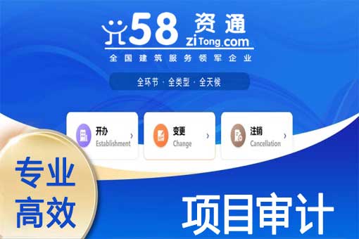 项目审计