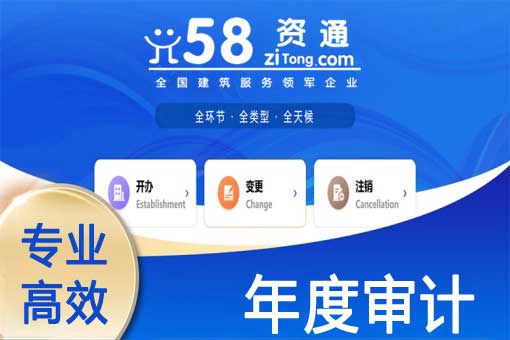年度审计